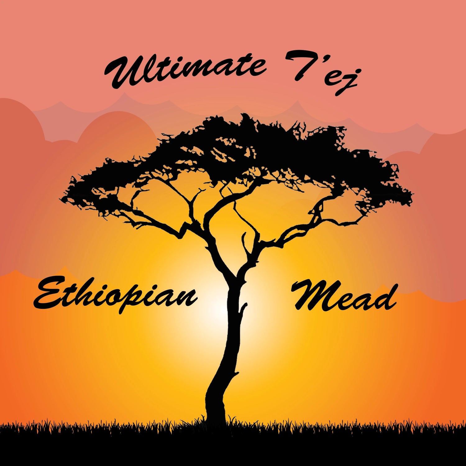 Ultimate T'ej. Ethiopian Mead. A savannah tree with a sunsetting behind it.